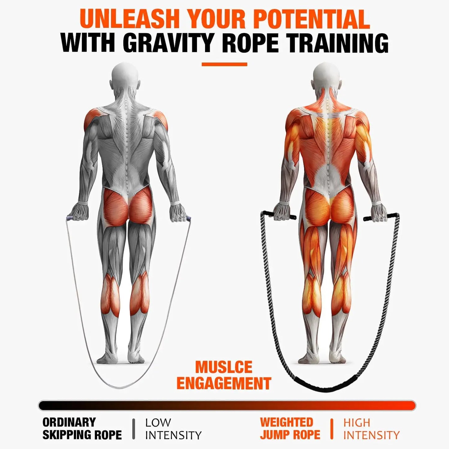 Weighted Jump Rope For Fitness And Boxing Cardio Home Gym