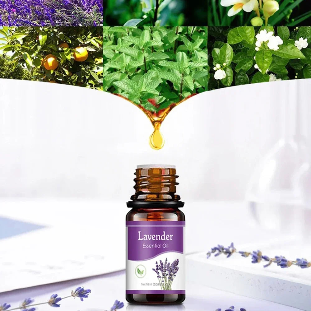 Pure Natural Essential Oil Set Lemon Mint Rose Tea Tree Lavender Jasmine 6x10ml