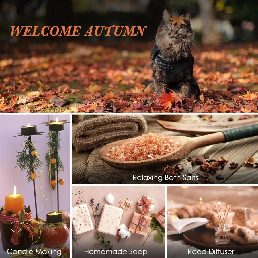 Autumn Fragrance Oils Set Cinnamon Pumpkin Aromatherapy