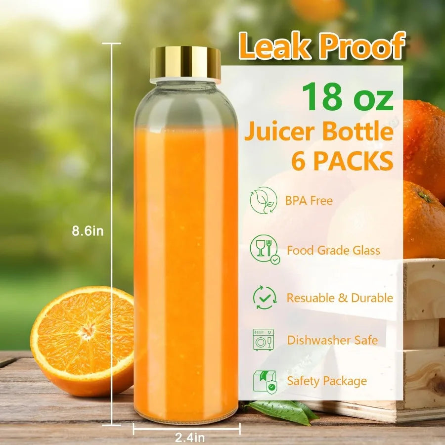 Zukro Glass Water Bottle with Leak Proof Lid Reusable